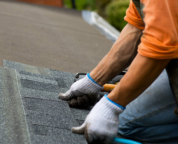Best Flat Roof Repair Services  in Shaw, MS