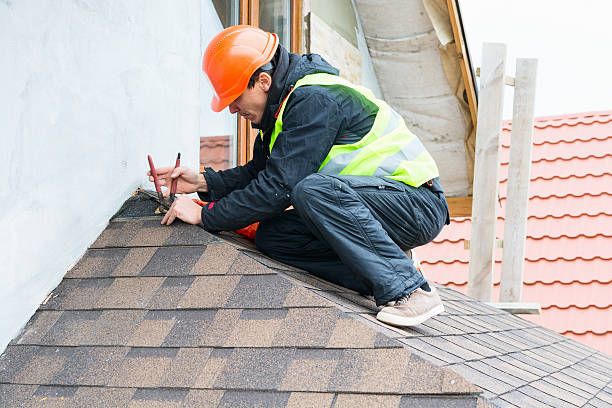 Best Storm Damage Roof Repair  in Shaw, MS