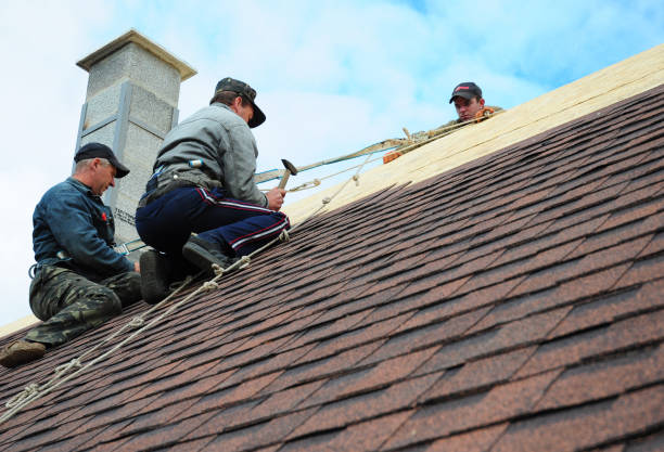 Roof Gutter Cleaning in Shaw, MS